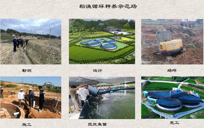 1733897640898355.png 002.png